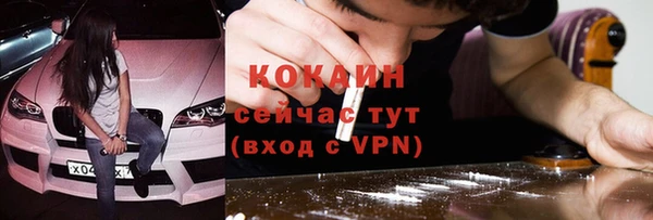 spice Новозыбков