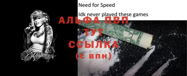 альфа пвп Новодвинск