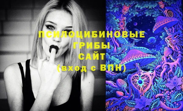 spice Новозыбков