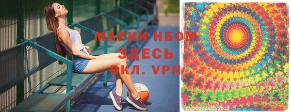 стафф Новокубанск