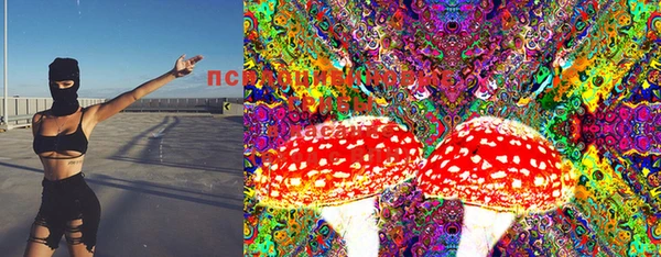 прущие крисы Нягань