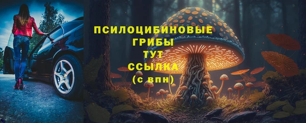 альфа пвп Новодвинск