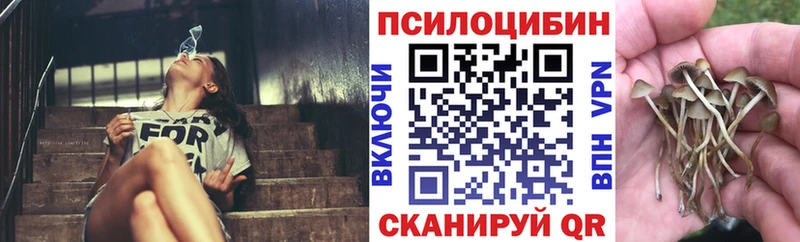 Псилоцибиновые грибы MAGIC MUSHROOMS купить наркотик Кораблино